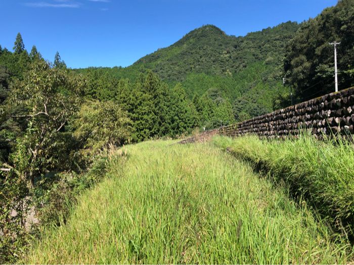 田辺市売土地　本宮