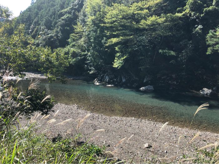 田辺市売土地　本宮