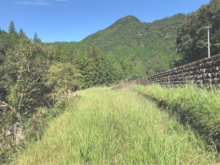 田辺市売土地　本宮