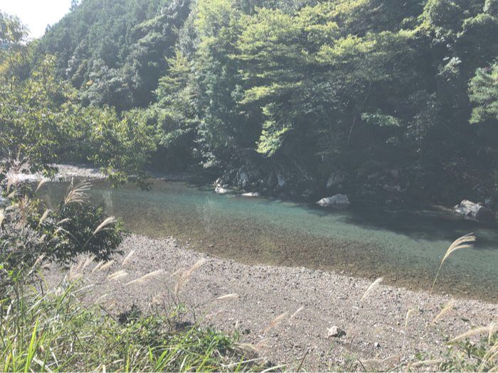 田辺市売土地　本宮