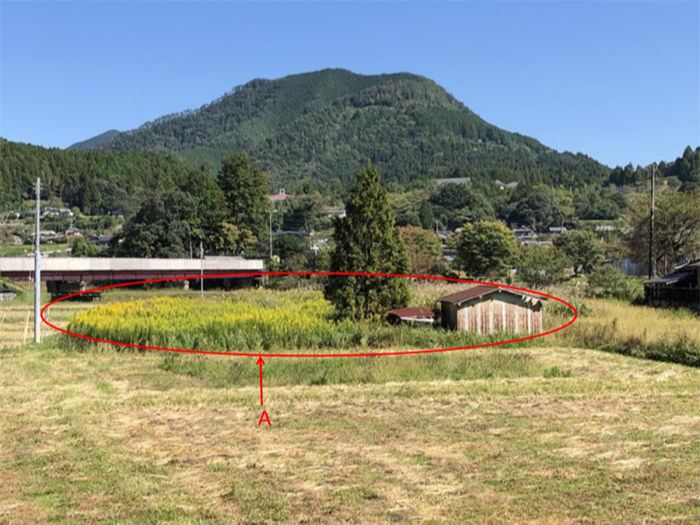 田辺市売り農地　中辺路町近露