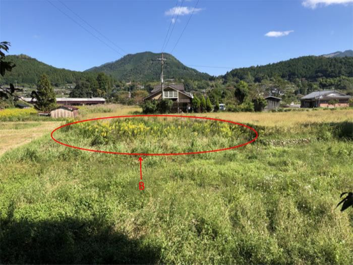 田辺市売り農地　中辺路町近露