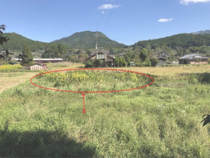 田辺市売り農地　中辺路町近露